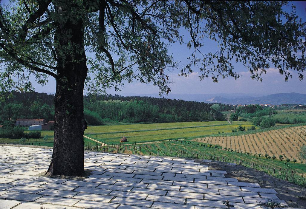 Agriturismo Le Due Querce Lazzeretto Экстерьер фото